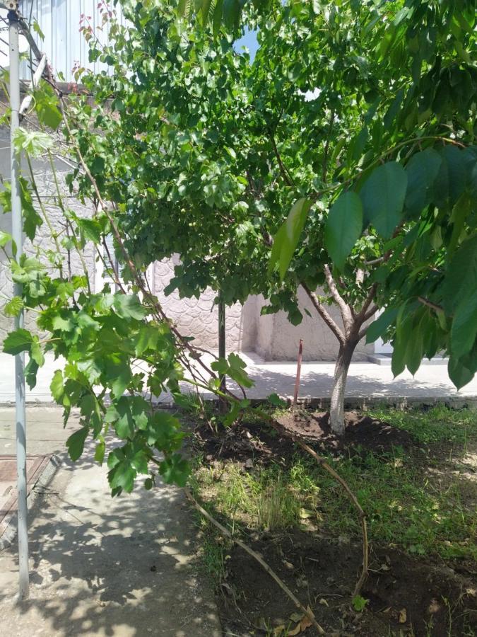 Vanand Guest House Ghiumri Exterior foto