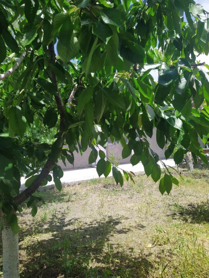Vanand Guest House Ghiumri Exterior foto