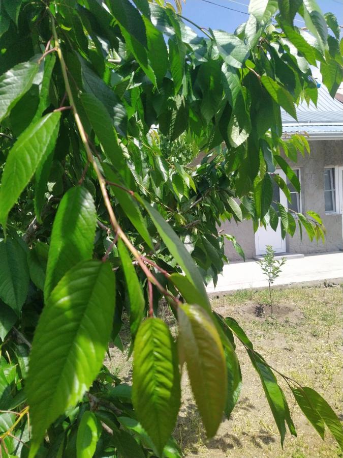 Vanand Guest House Ghiumri Exterior foto